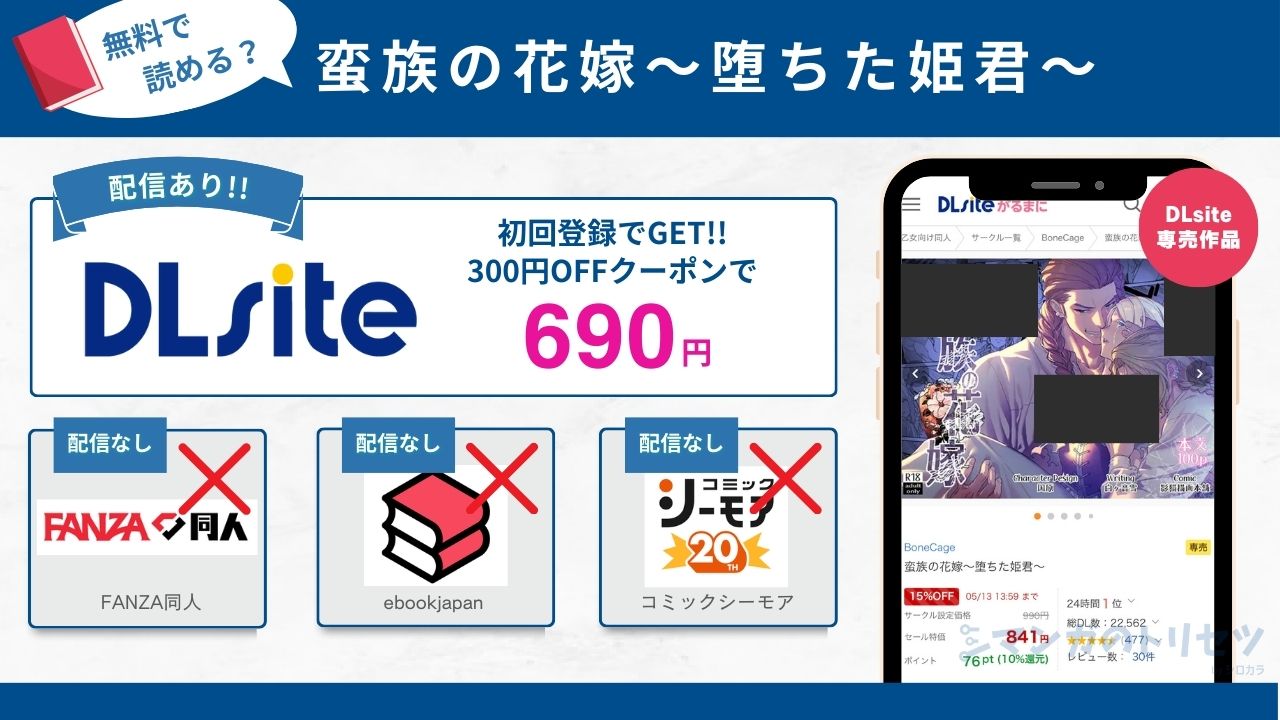 蛮族の花嫁～堕ちた姫君～