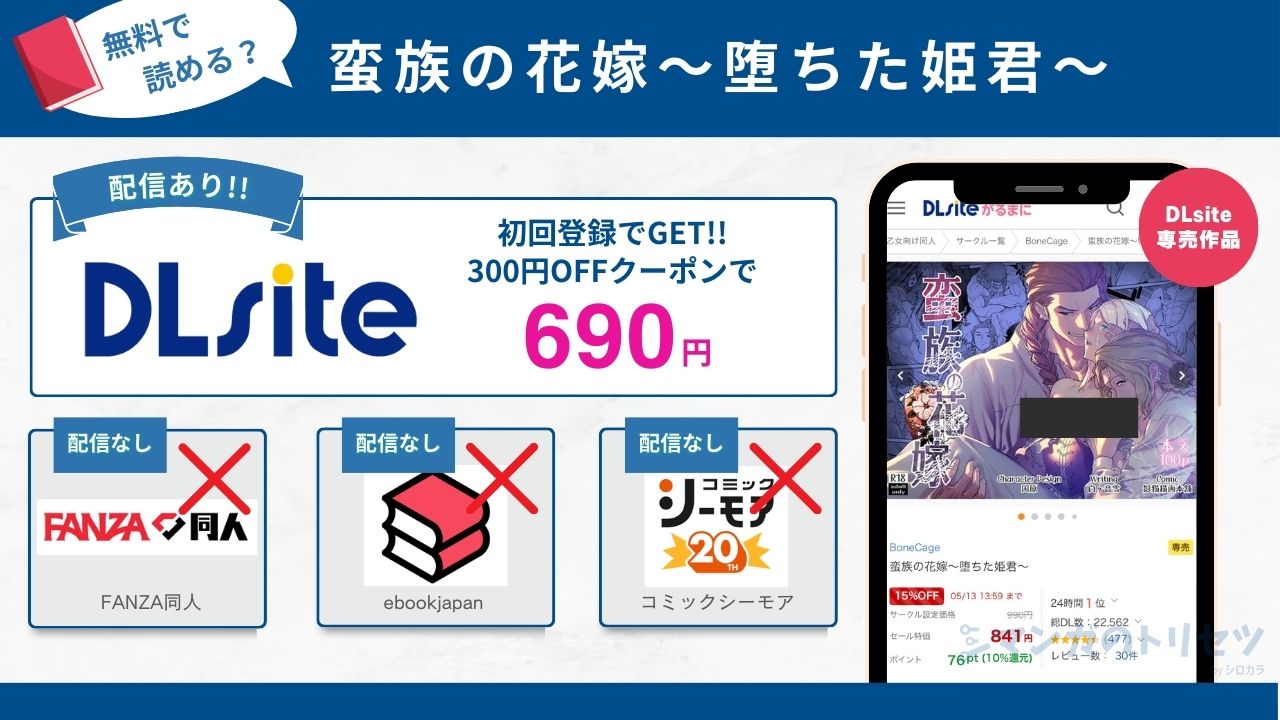 蛮族の花嫁～堕ちた姫君～