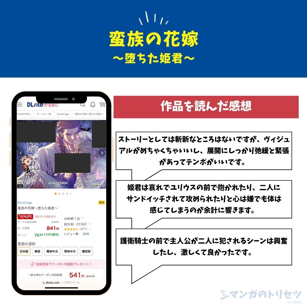 蛮族の花嫁~堕ちた姫君~ 感想