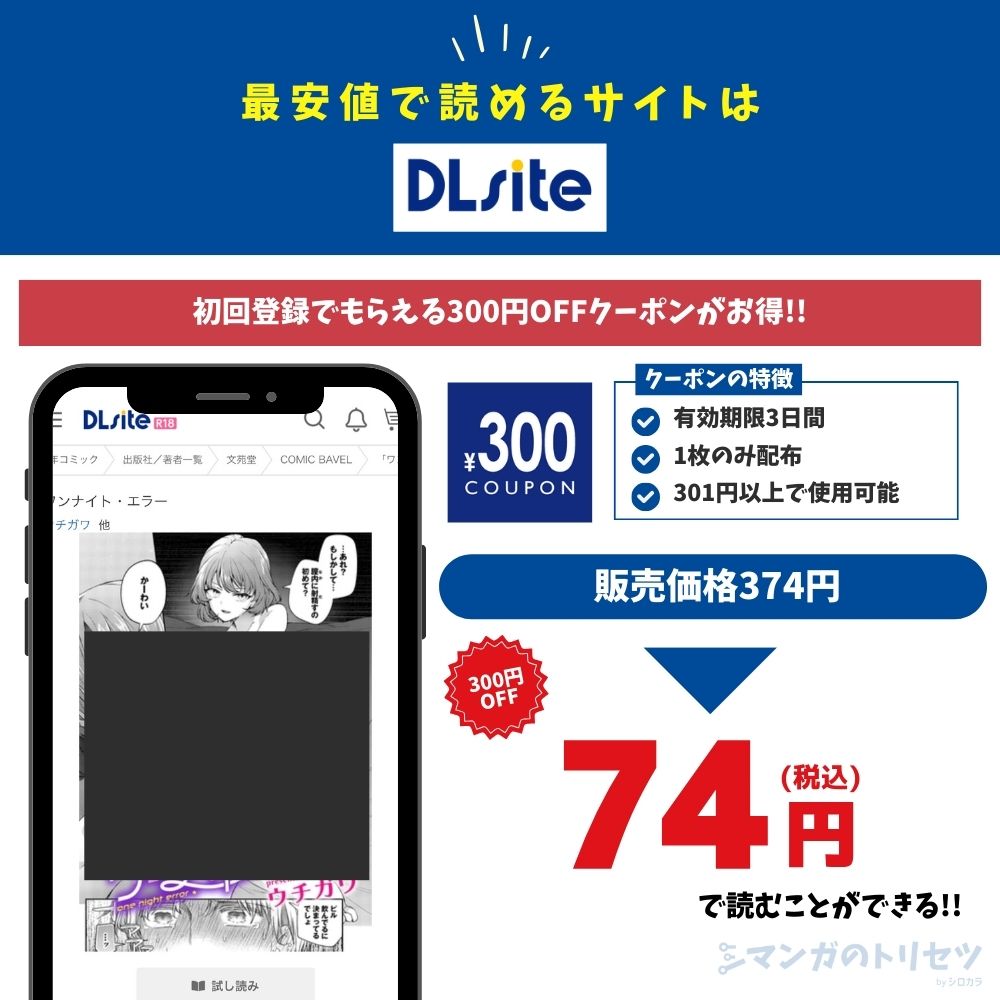 ワンナイト・エラー DLsite
