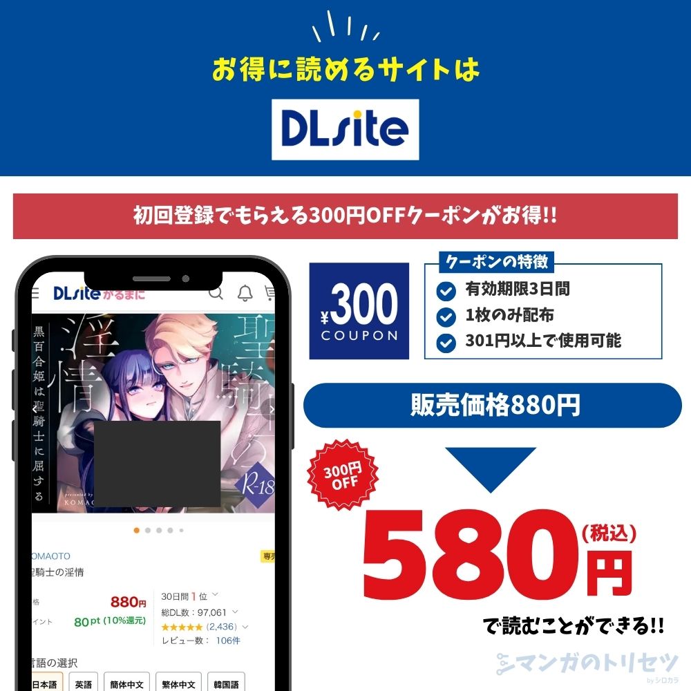 聖騎士の淫情　DLsite