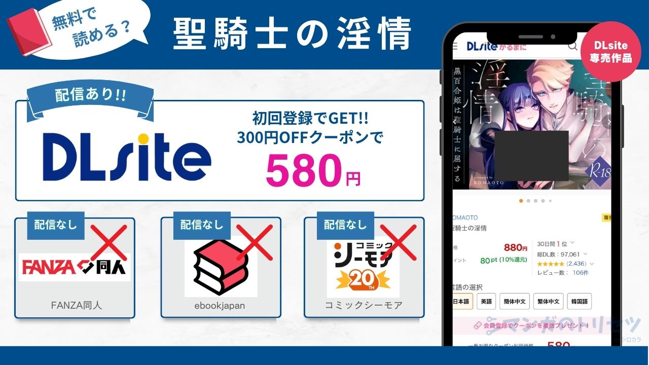 聖騎士の淫情