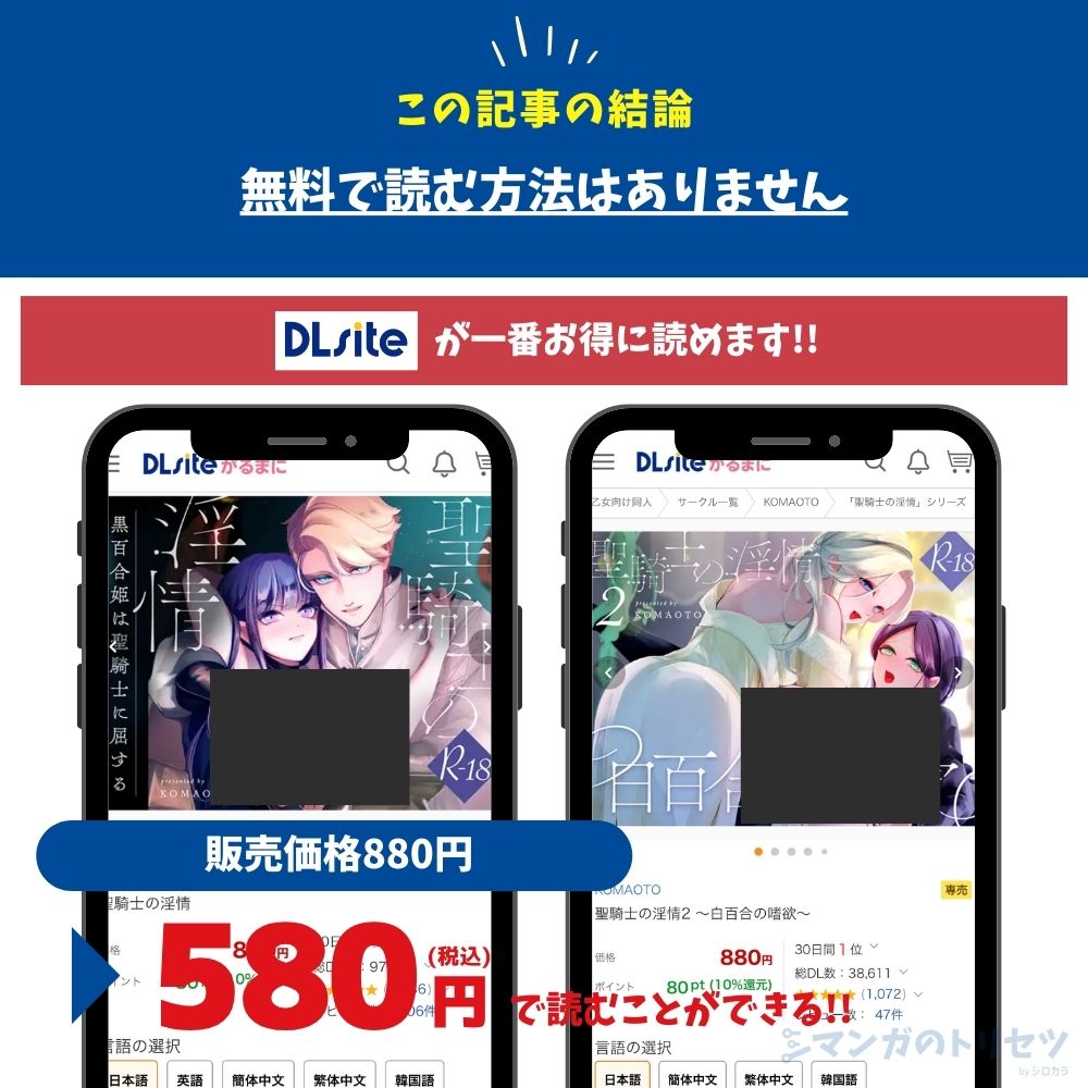 聖騎士の淫情 最安値